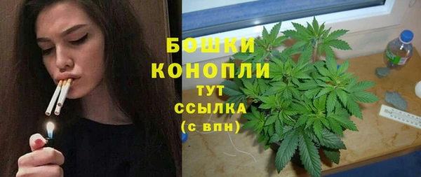 гидра Надым