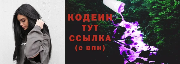 гидра Надым