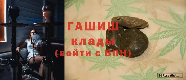 гидра Надым