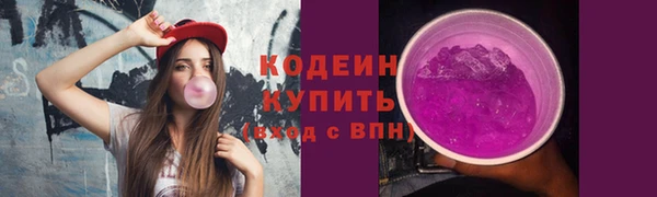 гидра Надым