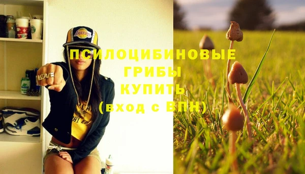 гидра Надым