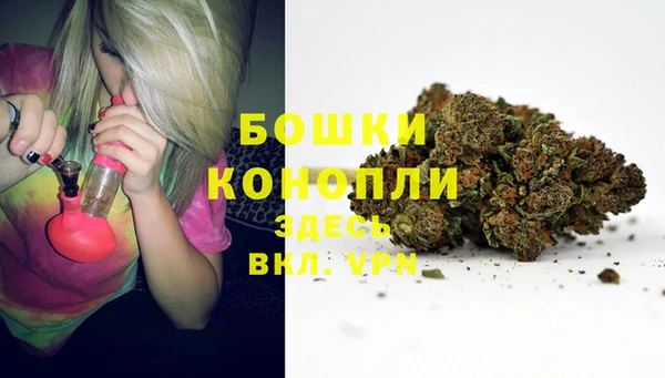 стаф Наволоки
