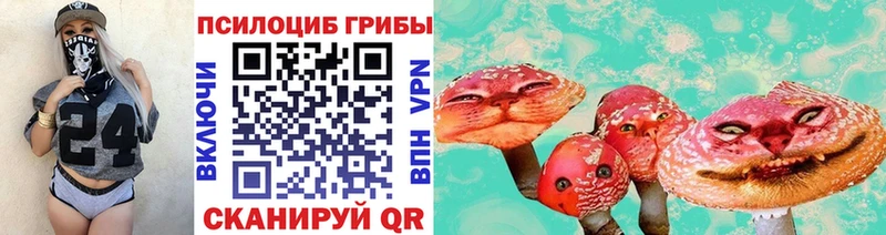 Псилоцибиновые грибы Cubensis  купить  цена  Кадников 